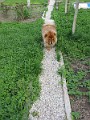 20040418_ 024